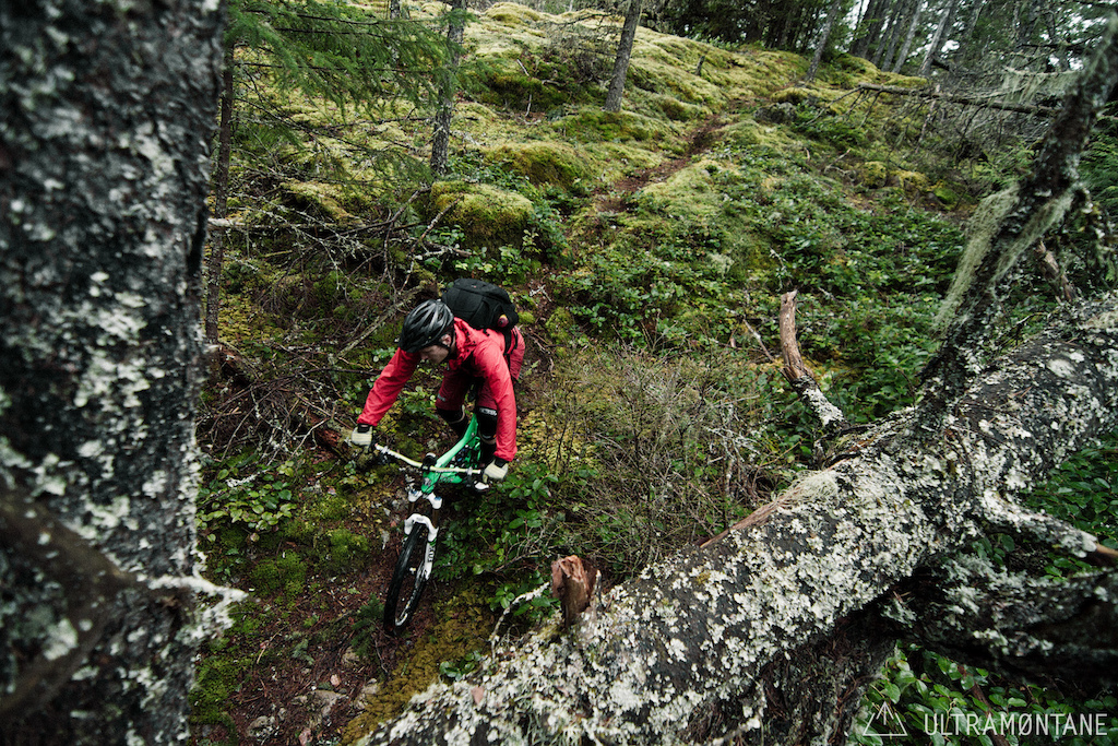 More moss and more bluffs.