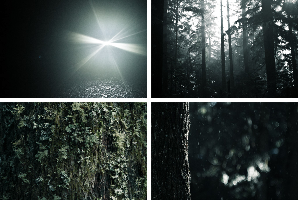 Some good guy b-roll of trees and lights at night.