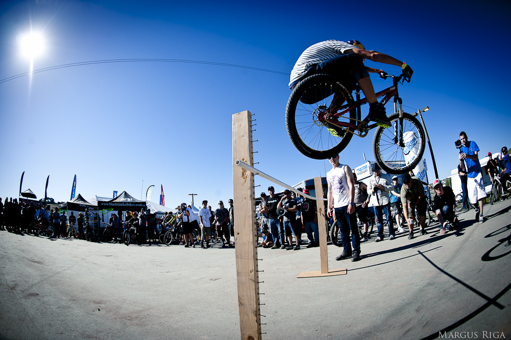 Sea Otter 2012