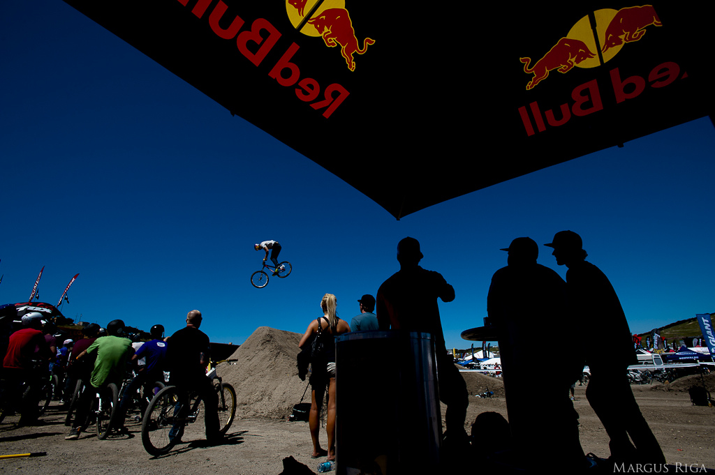 Sea Otter 2012