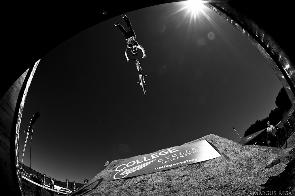 Sea Otter 2012