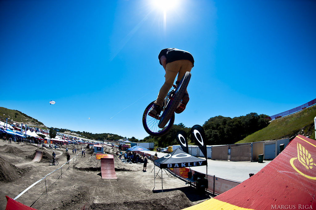 Sea Otter 2012