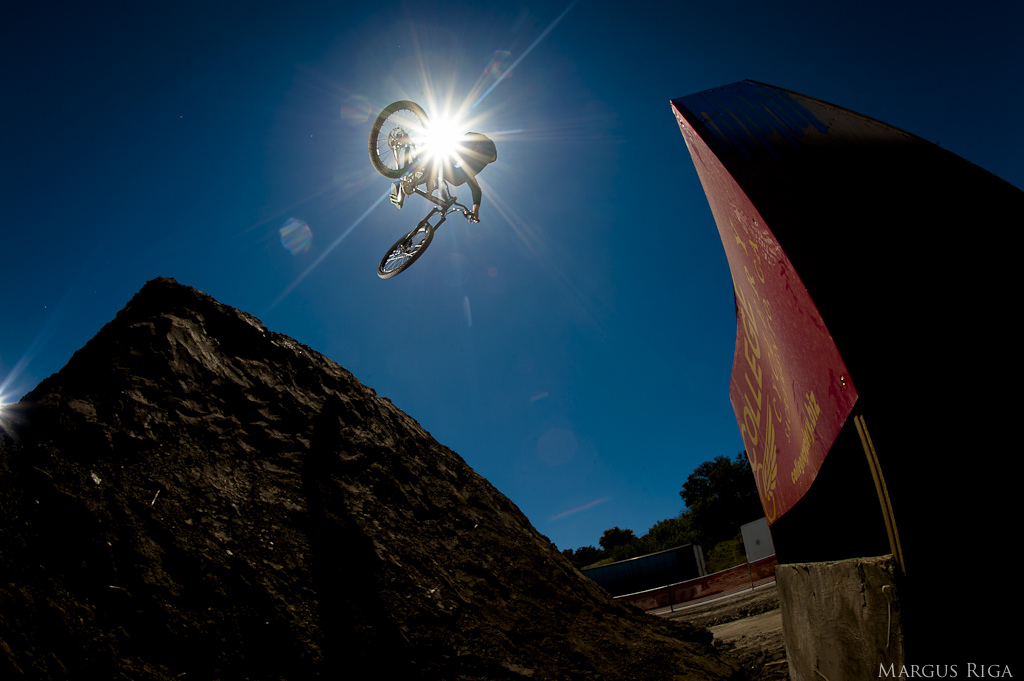 Sea Otter 2012