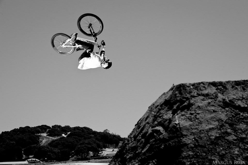 Sea Otter 2012