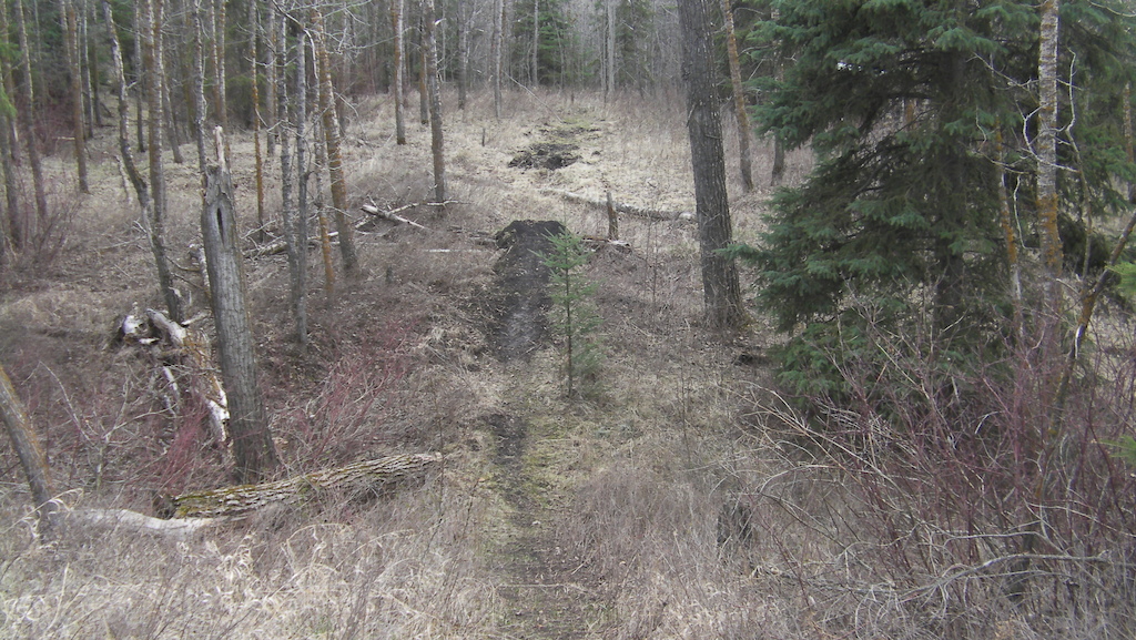 working on the first jump on my trail soon to be a cool step up further down the trail