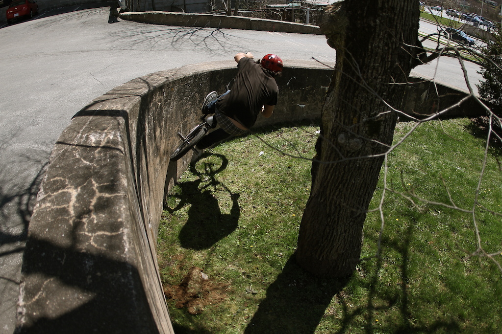 curved wall around tree
