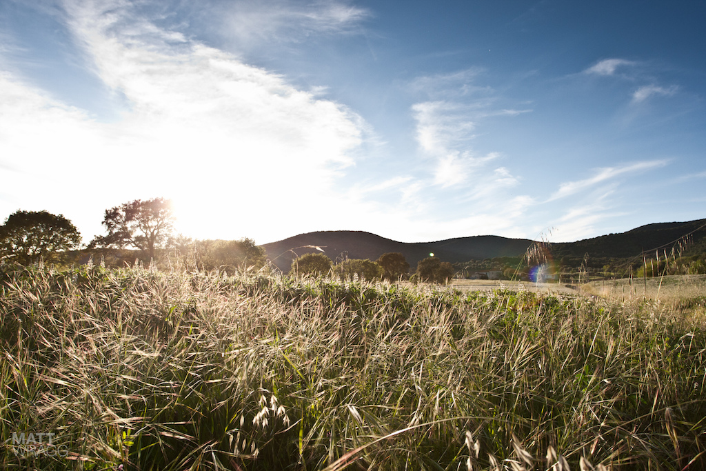 Early evening over the Tuscan meadows.