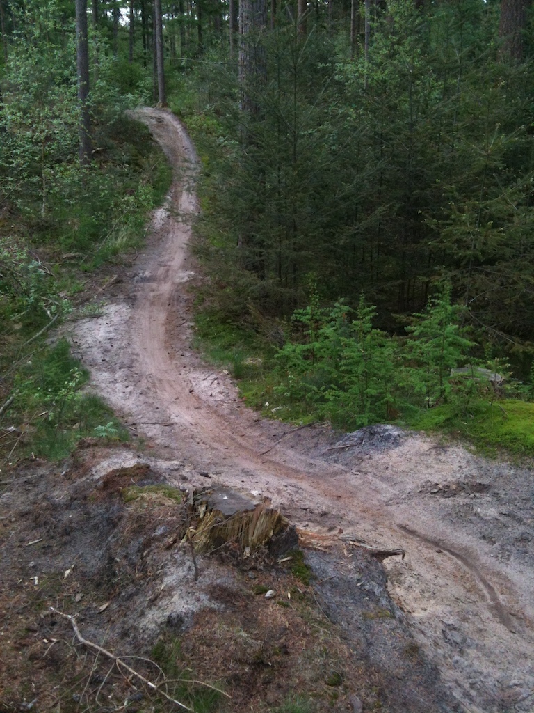 Singletrack lage vuursche