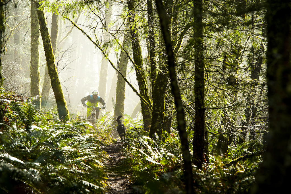 Man s best friend leads Lars through the mist. -www.parisgore.com-