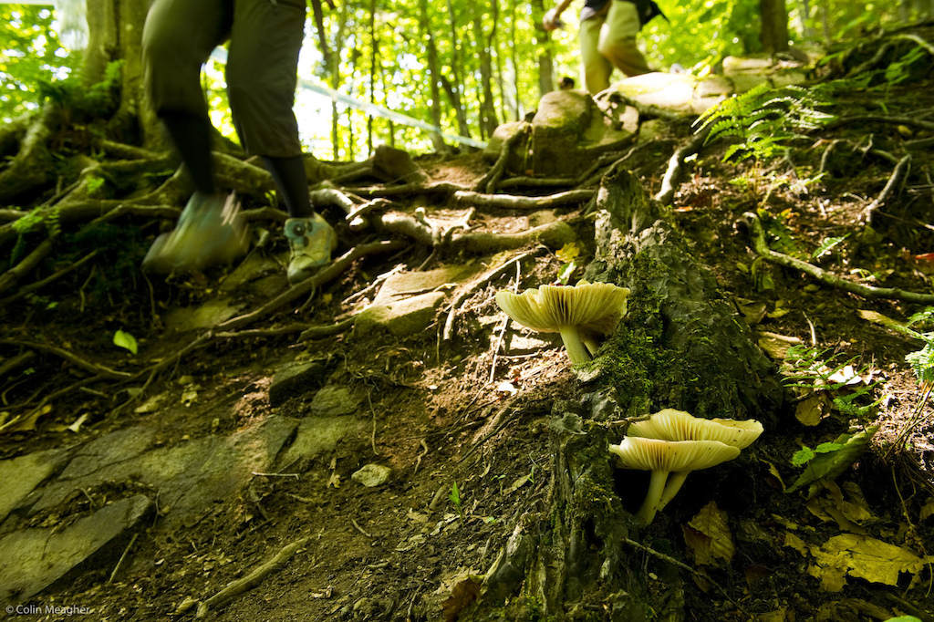 It s bone dry here for a change. Mostly. But in the deep woods there s still some loamy hero dirt.
