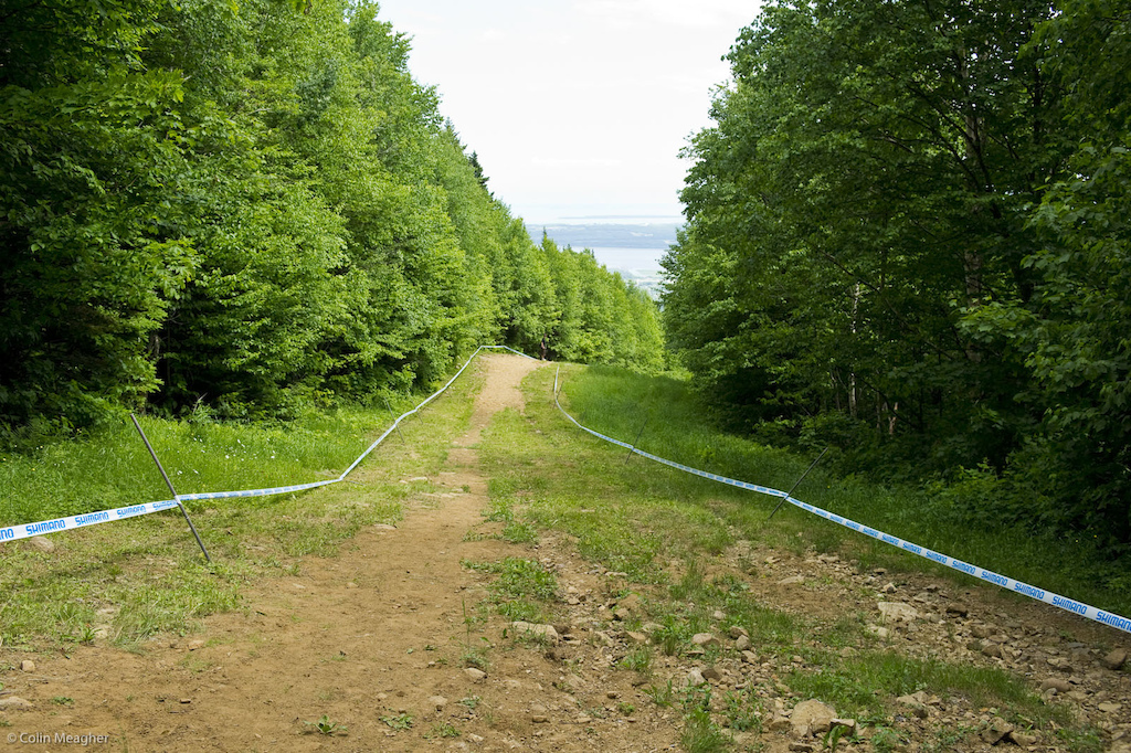 The motorway below the first woods is the same as it ever was although the curve into the left woods below is a bit flatter.