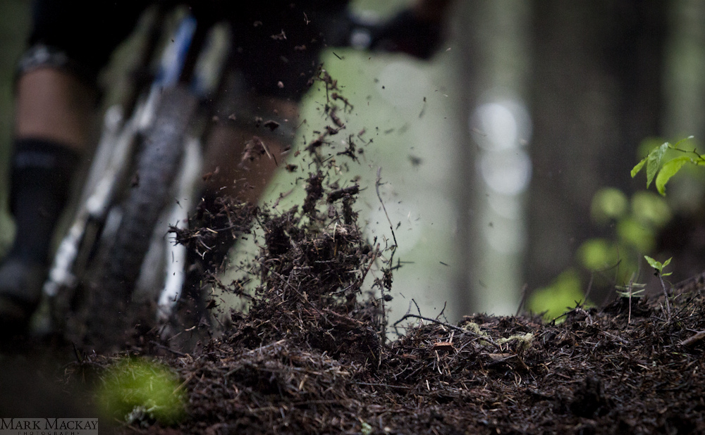 Loam yes it exists up there.