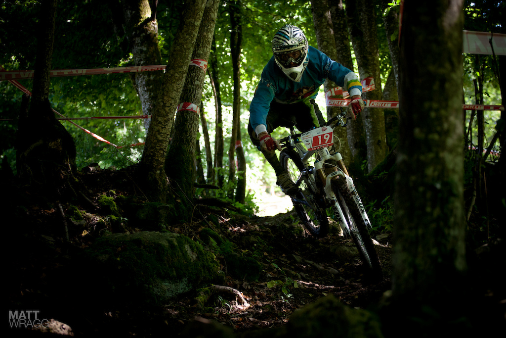 From bright sunlight straight into dark woods.