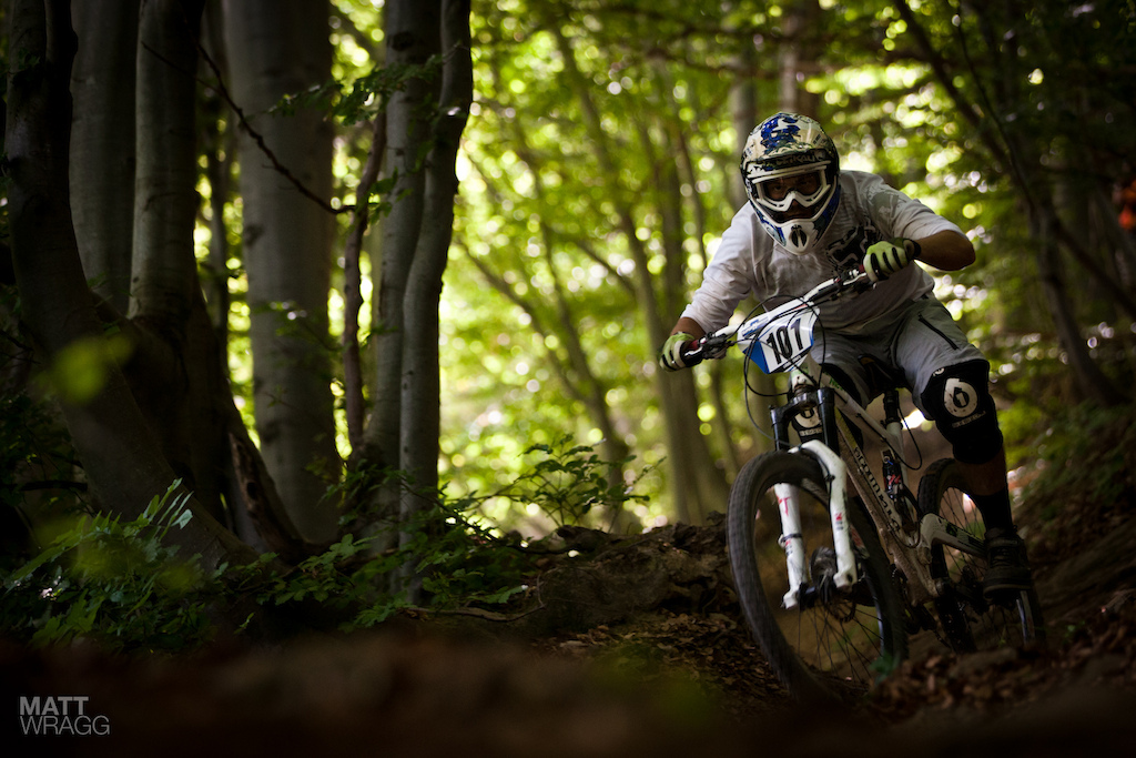 In the woods.