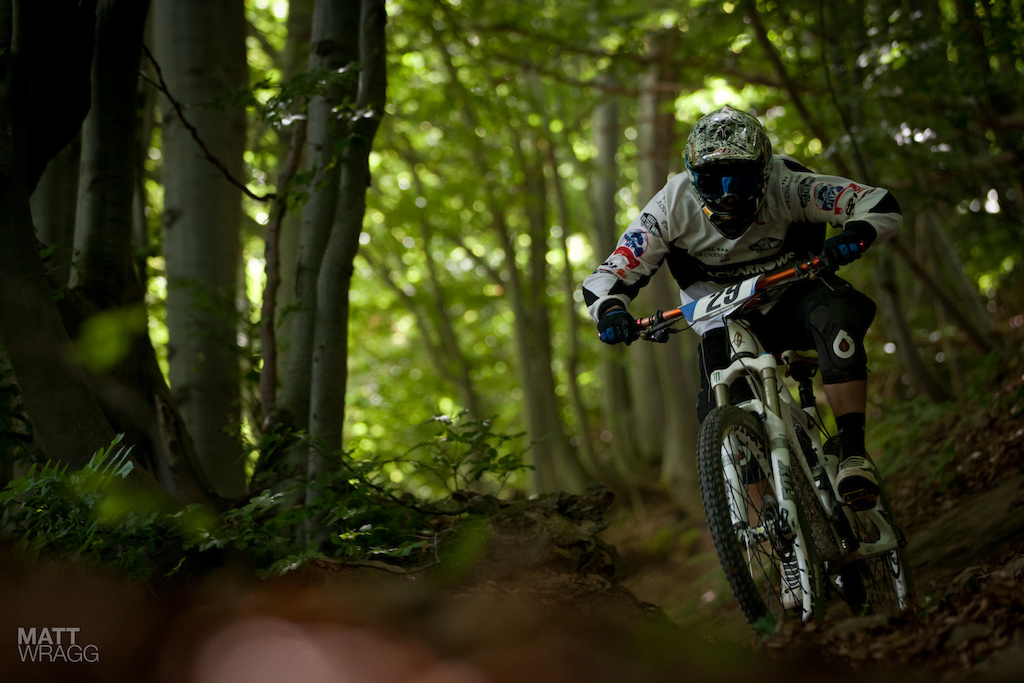 In the woods.