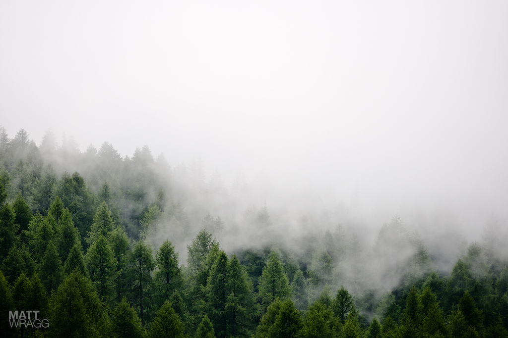 Low cloud creeping in over the trees.