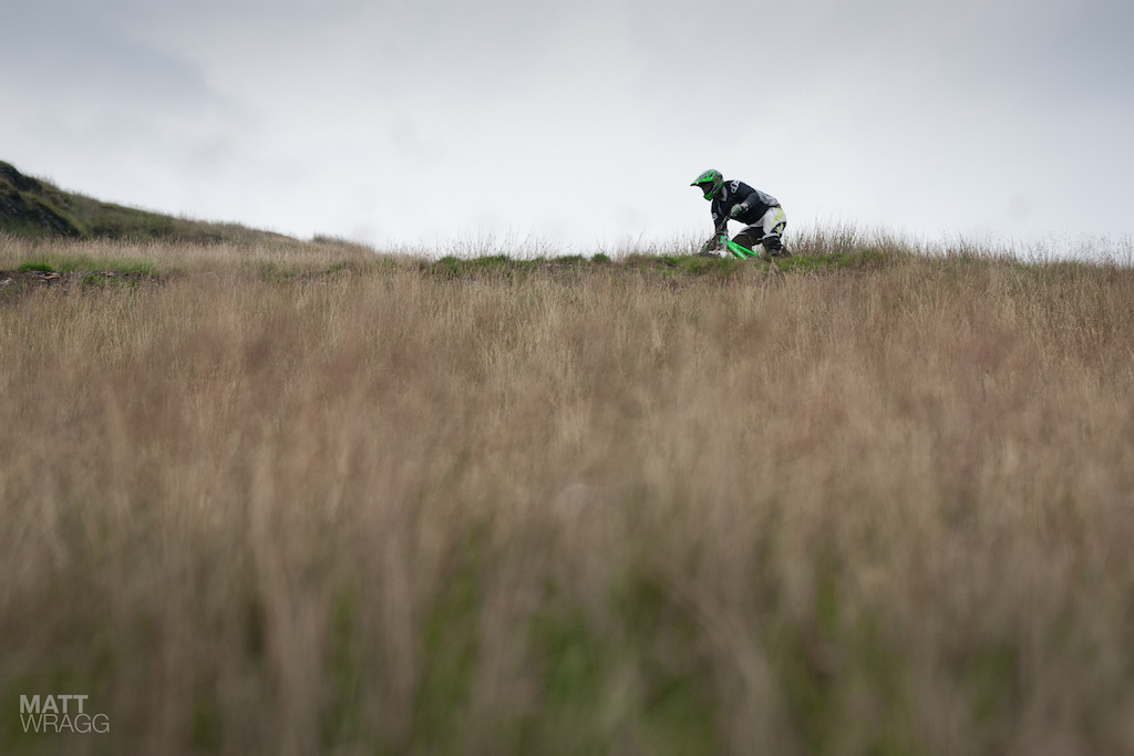 Above the marsh grass.