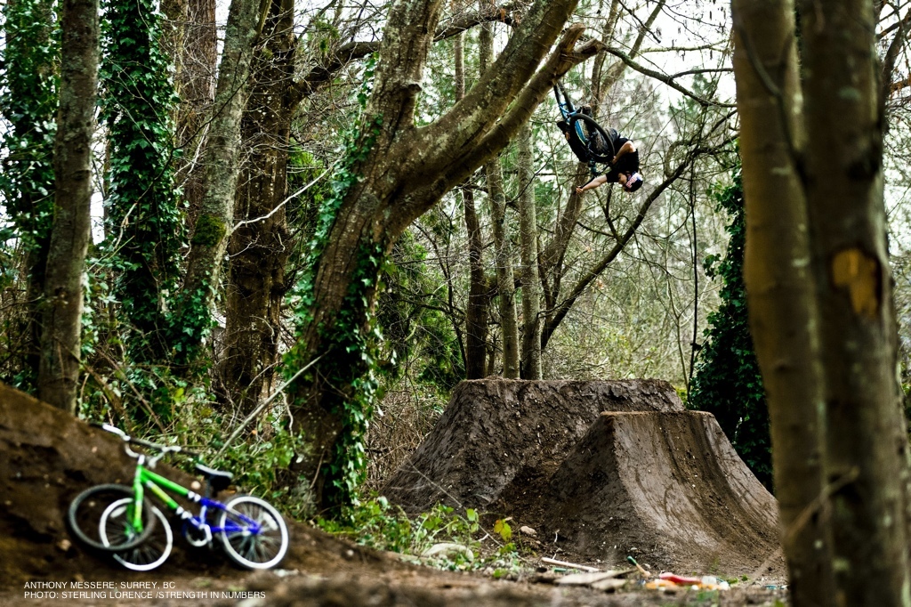 photo Sterling Lorence