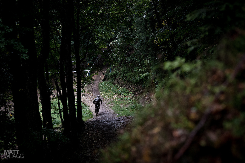 Heading back into the woods.