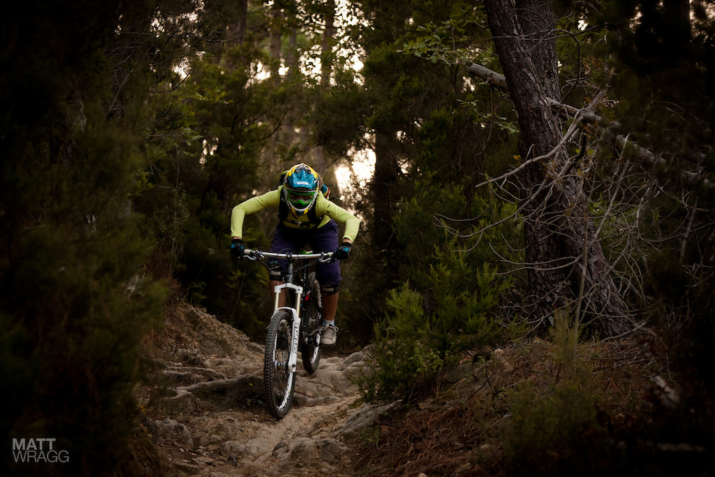 Steffi on the roots and rocks.