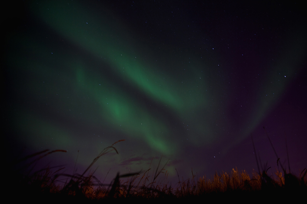 auroras