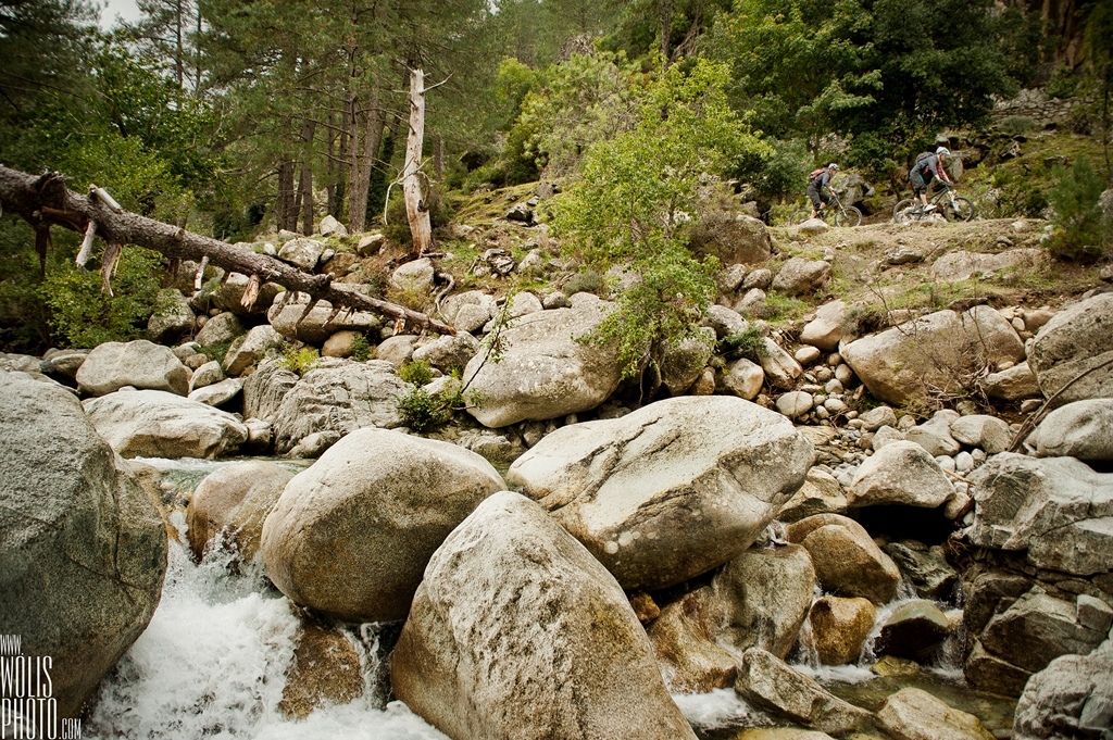 www.wolisphoto.com