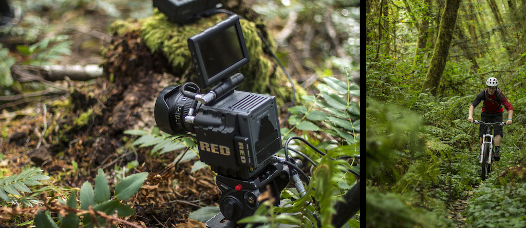 Mike finds some greenery in Northern California while the camera rolls on