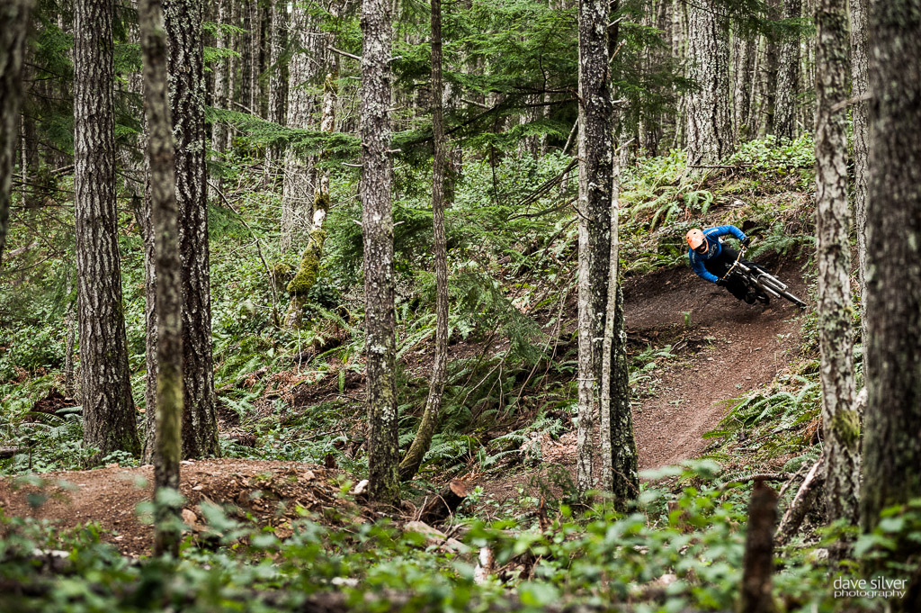Shredding the shovel and the bike.