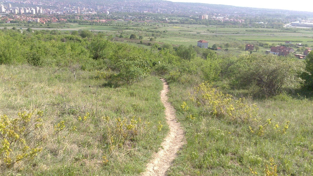 Postavljena slika