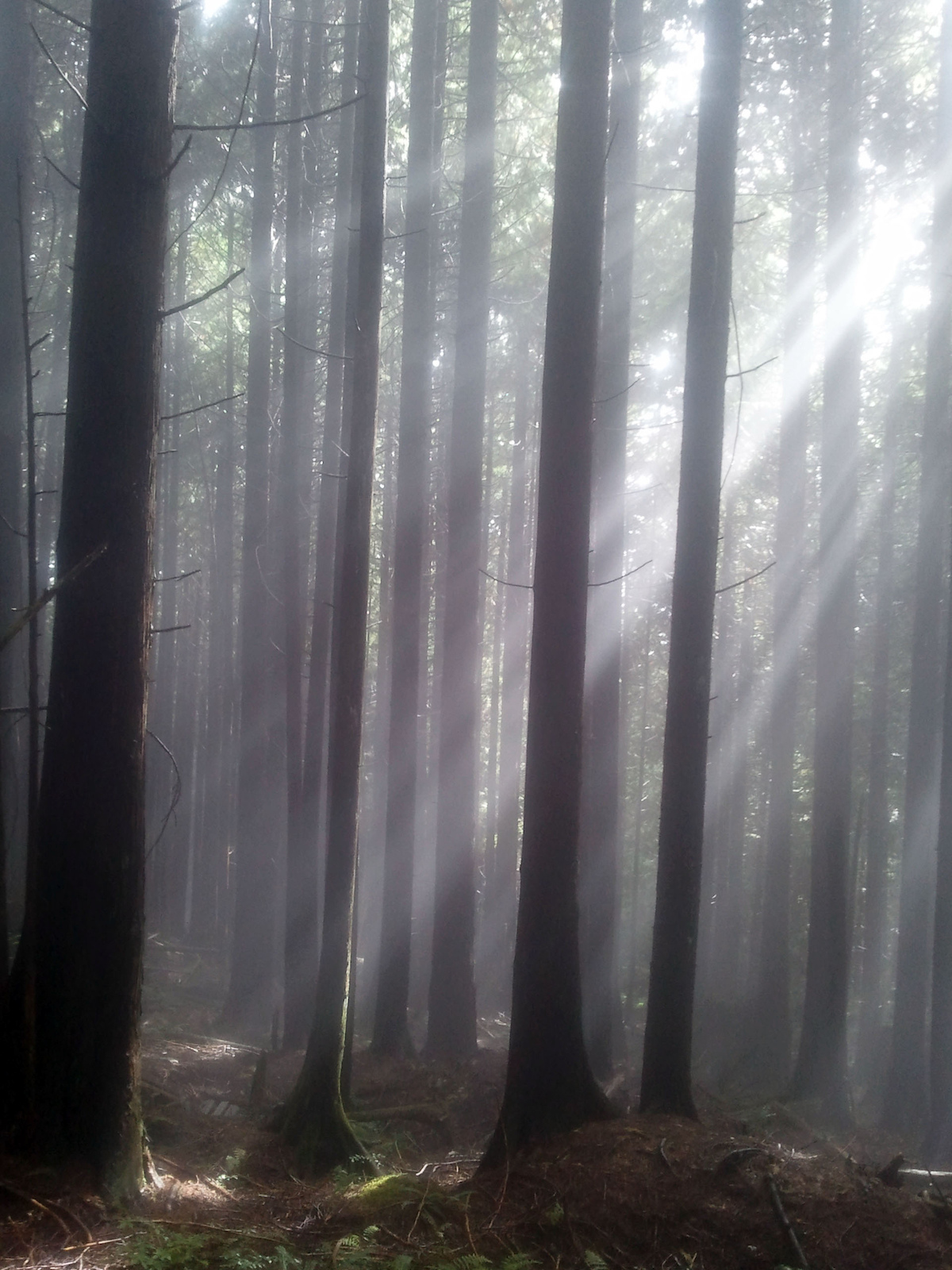 More fall weather in North Van