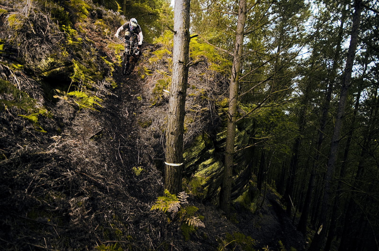 Scratchmere Scar, situated in Cumbria UK is home to a vast array of steep, tech and fast trails. Amidst the trees lay a fresh track that wasn't finished. The shoot, photo'd here was mega steep, loamy, loose and fast! 

Scratchmere Scar is defiantly worth a look! 

samneedham.co.uk
