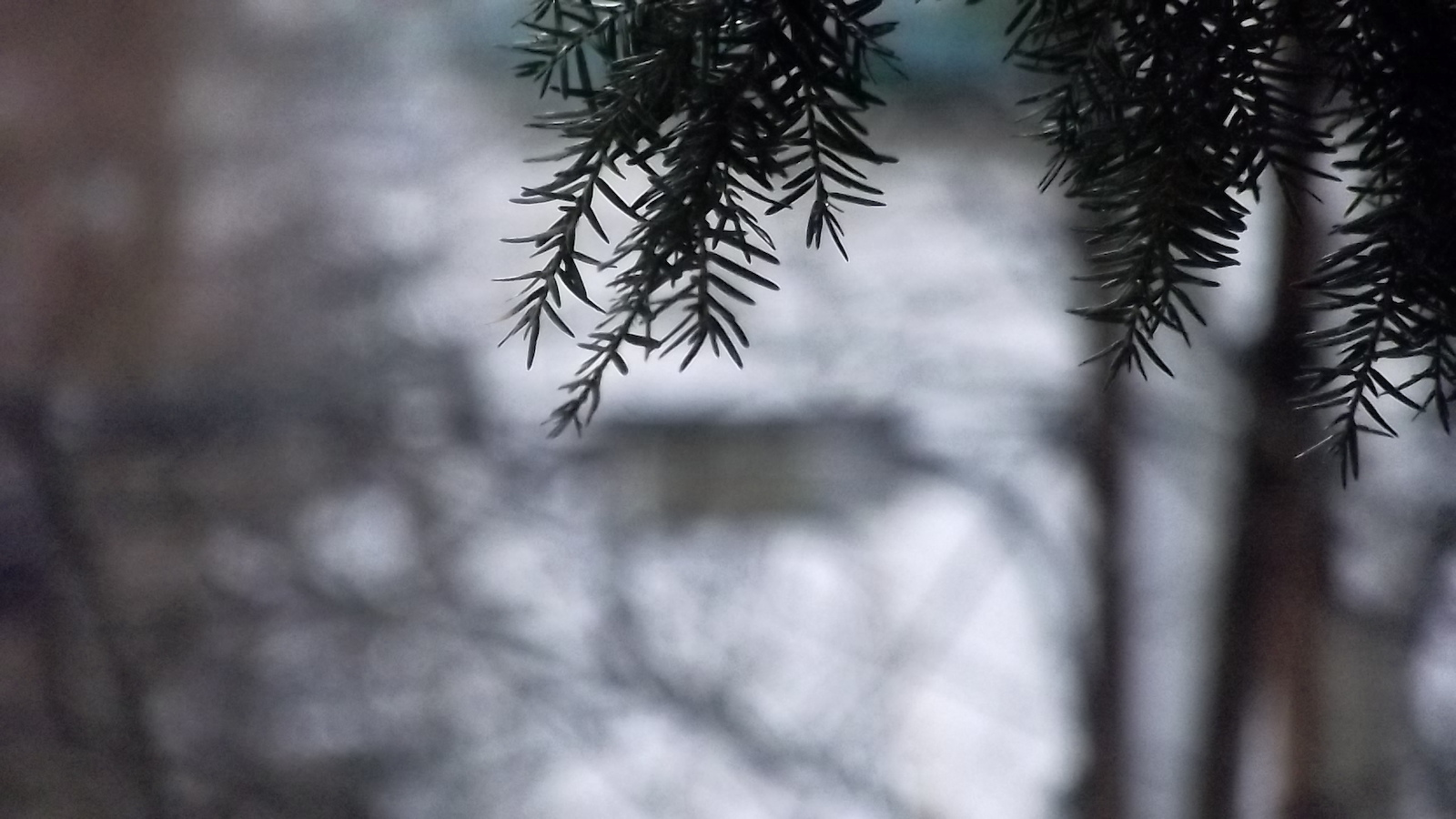 photography stuffs