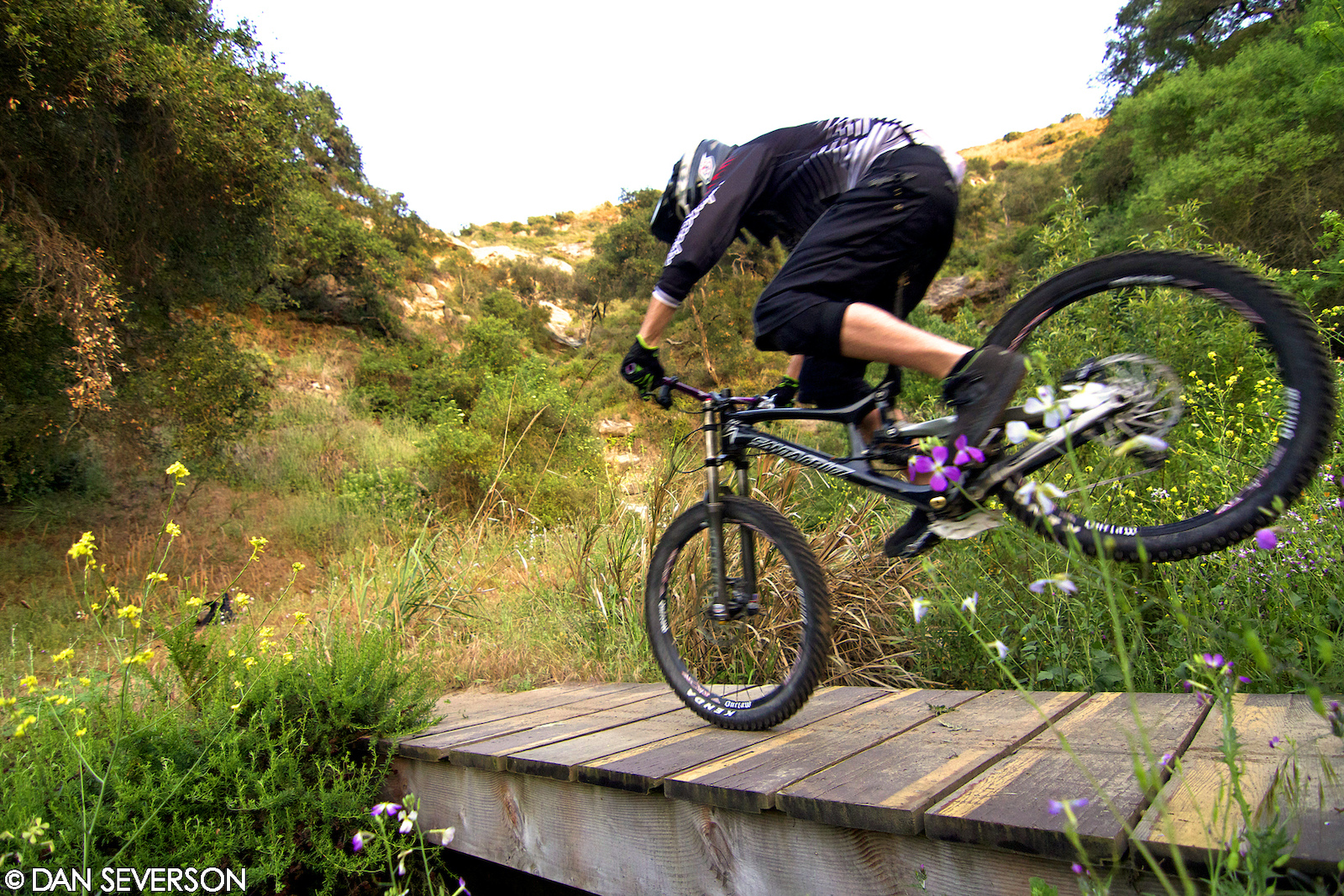 Nose Manny across the bridge...