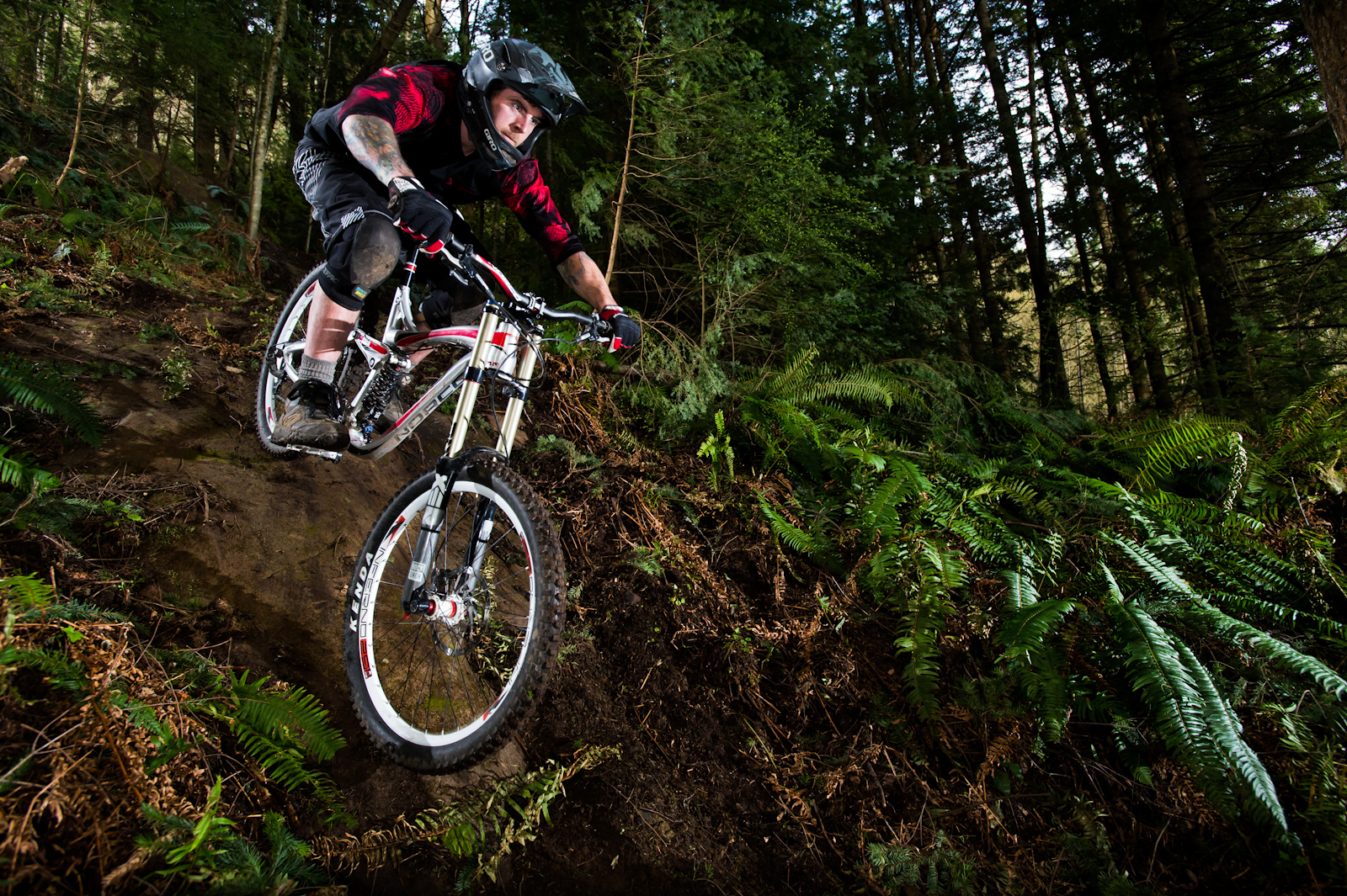 steeps on the Norco Aurum