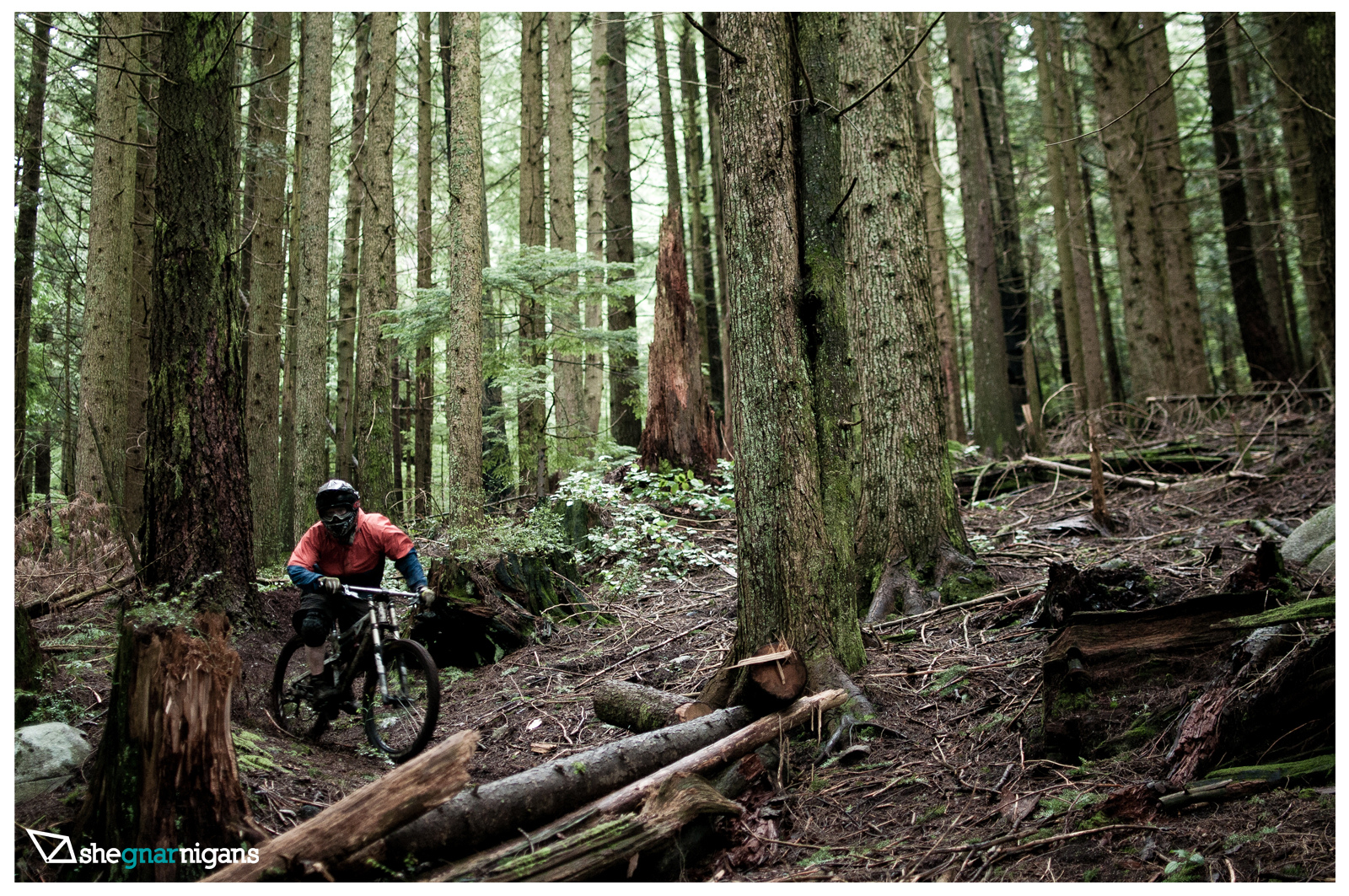 NSMBA Film Festival Photo Blog - Part 3 of 4