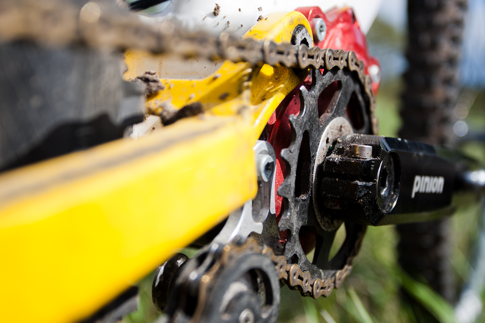 Close up of chainring and crank.
