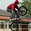 colelwin
