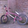 bmxbrapp