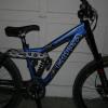 gooser17