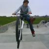 dirtdecision