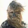wookiefreeride