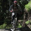 localmotion
