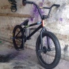 Randles91