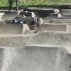 jackmtbmx100