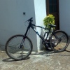 Yorkbiker