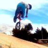 pelon