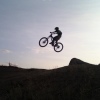 adamcook12
