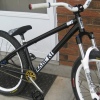 willshire23