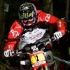 ponch33