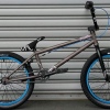 abbott72